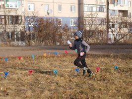 В чемпионате по спортивному ориентированию приняли участие 126 спортсменов