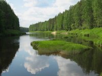 Администрация города напоминает о правилах безопасности на воде в купальный сезон