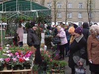 Луганчане и гости столицы посетили выставку-продажу цветов в центре города