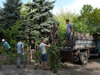 Администрация города и коллектив ЛНАУ провели субботник в столичном дендропарке